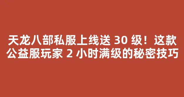 天龙八部私服上线送 30 级！这款公益服玩家 2 小时满级的秘密技巧